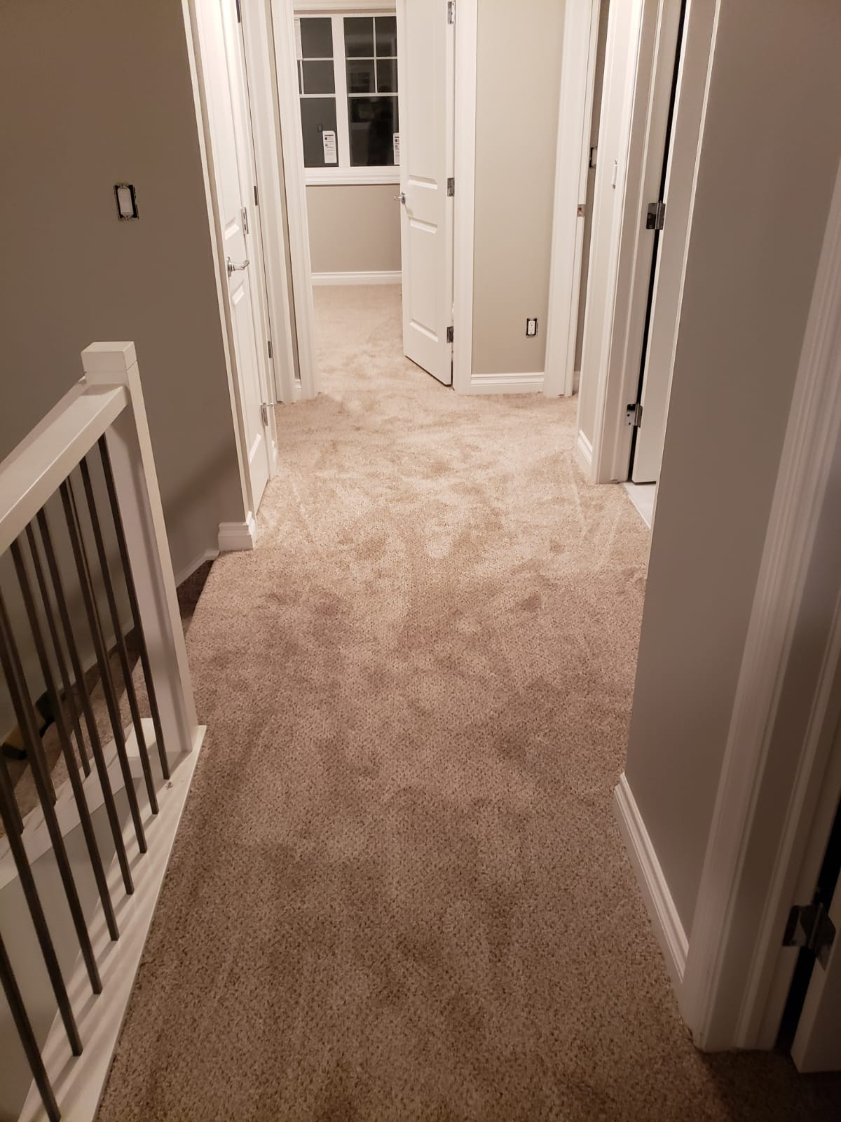 Carpet