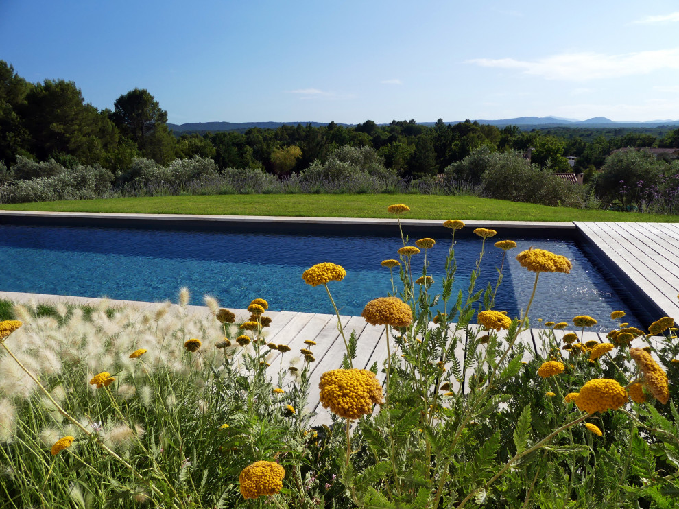 Design ideas for a large mediterranean rectangular pool in Montpellier with decking.
