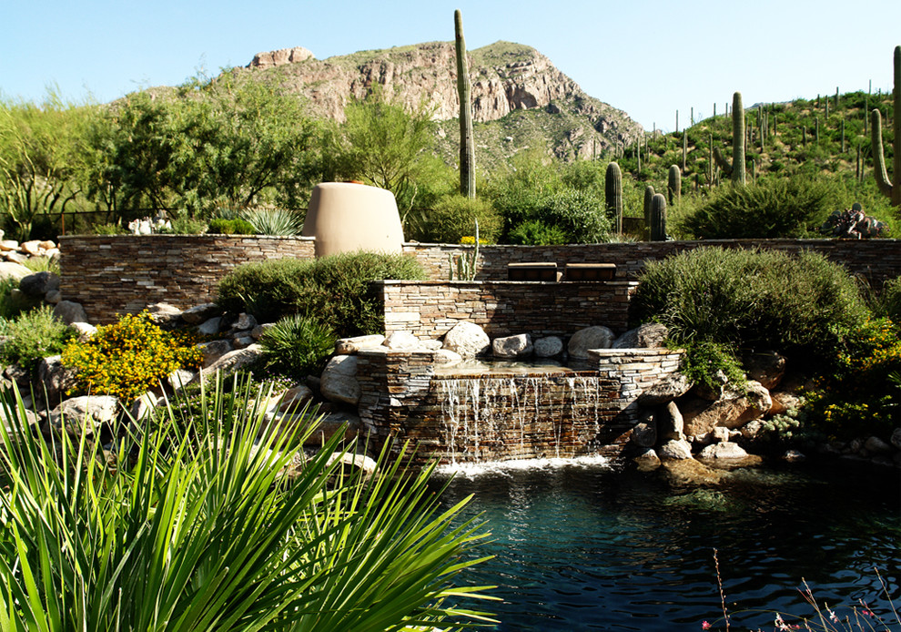Photo of a contemporary natural pool in Phoenix.