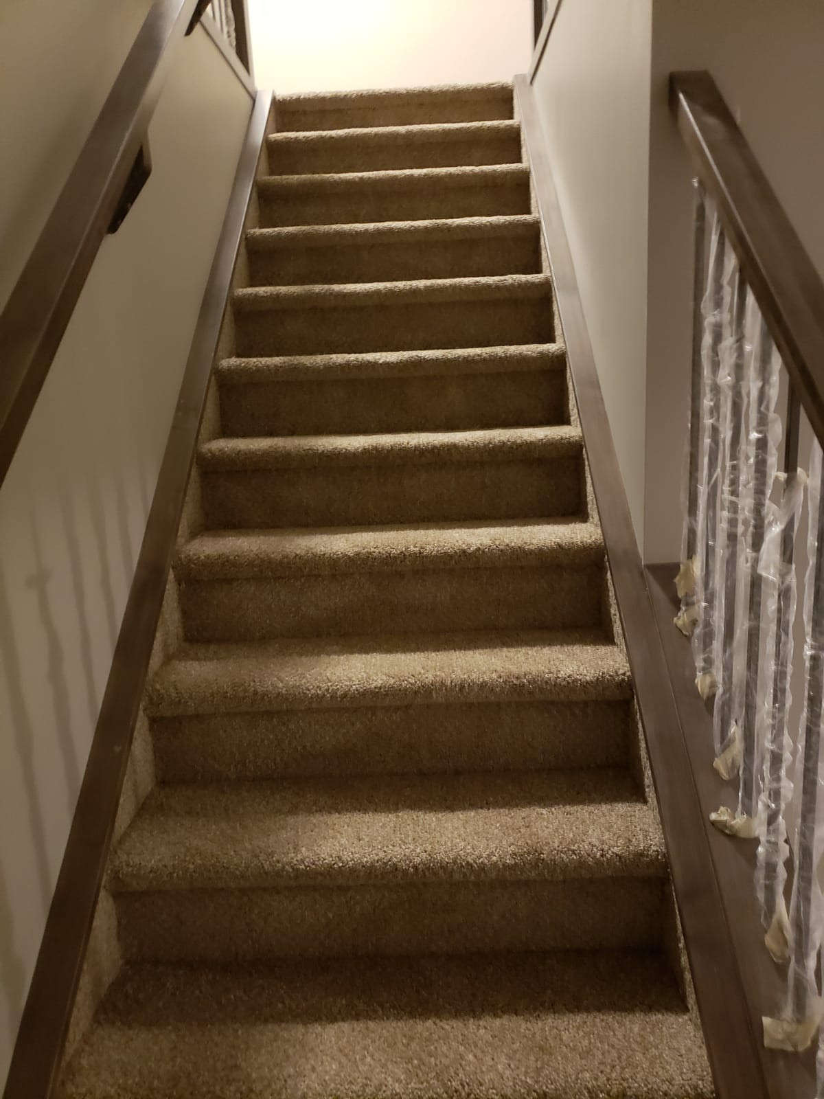 Carpet