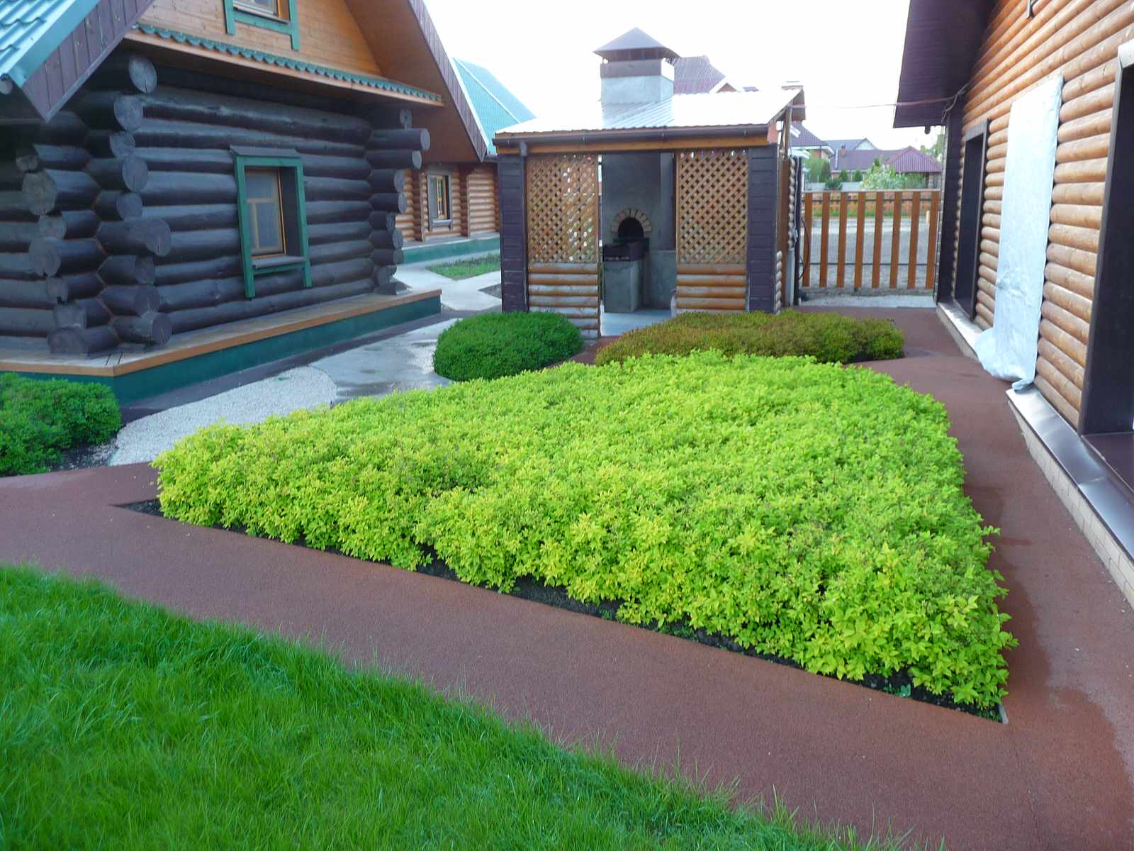 Фитопластика на общественной территории