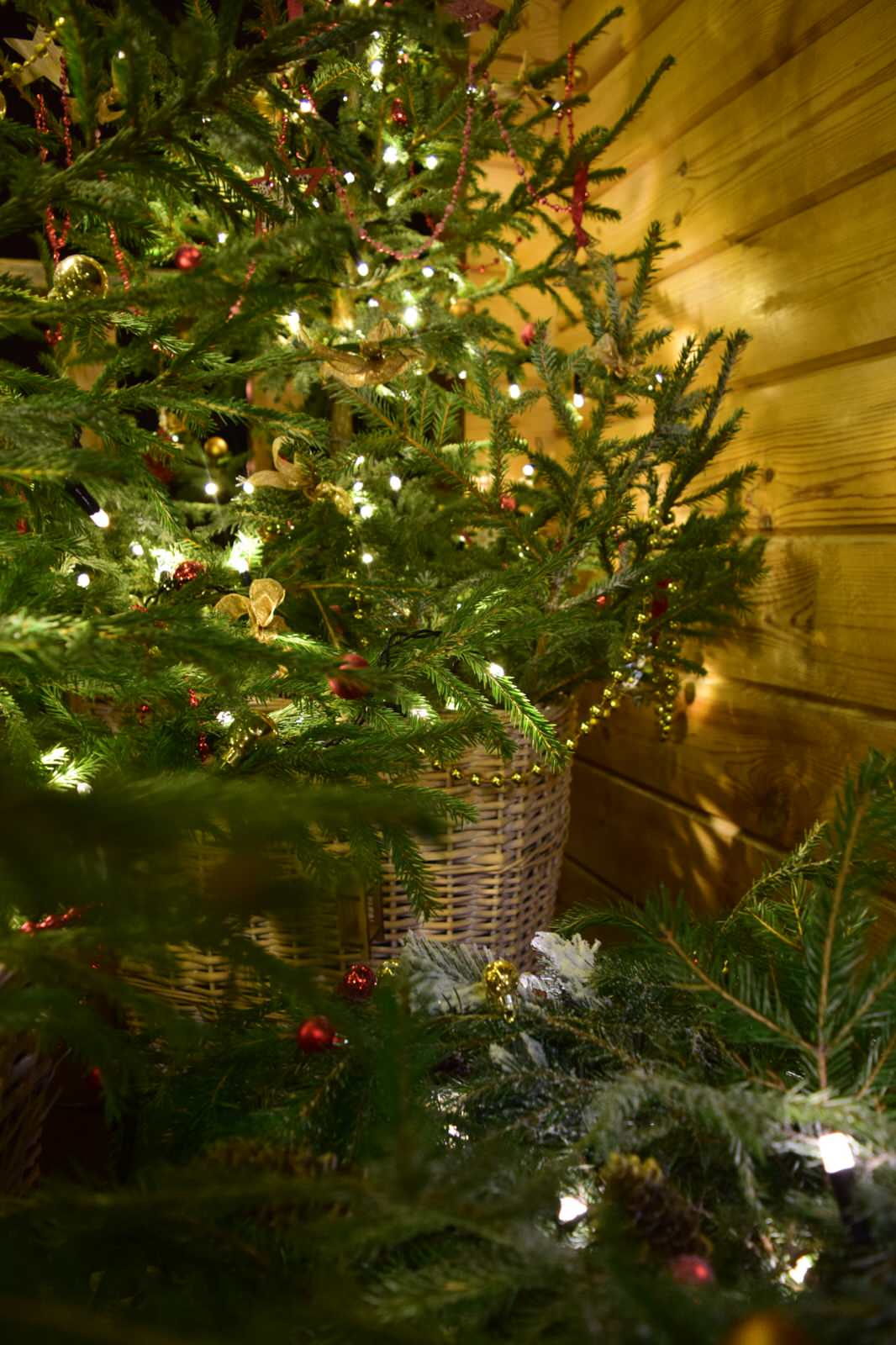 Новый год стучится в дверь