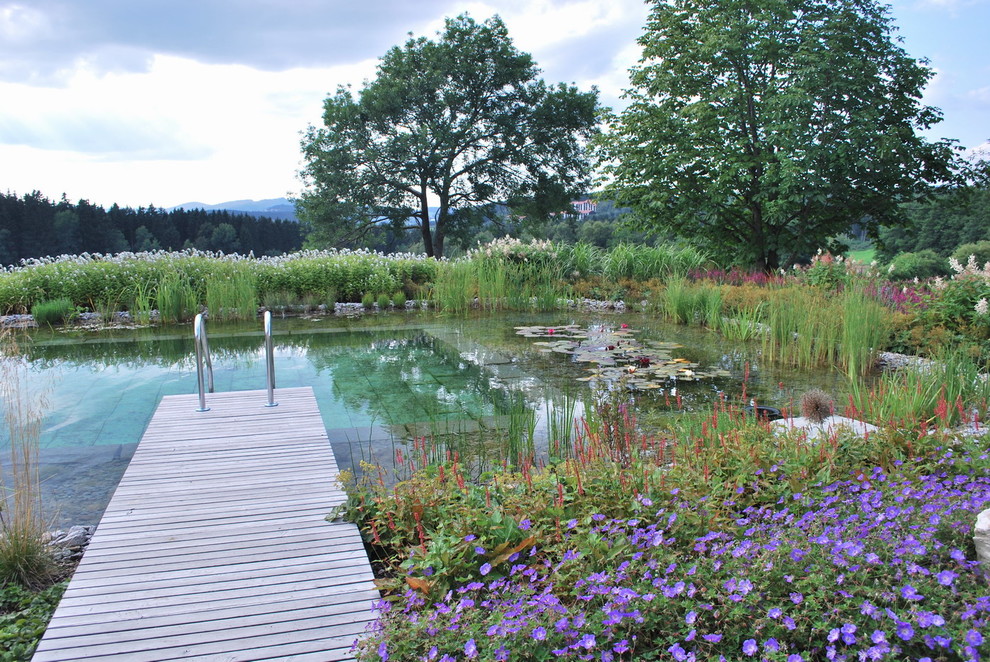 Inspiration for a large contemporary rectangular natural pool in Other with decking.