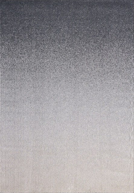 Abani Quartz QRZ130A Shades of Gray Ombre Contemporary Area Rug, 4'x6'