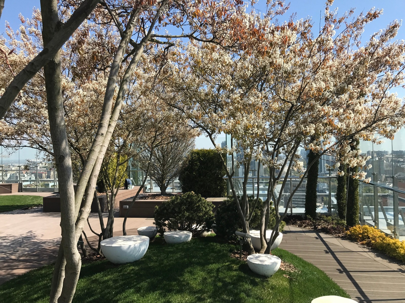 Парк на крыше жилого высотного здания.