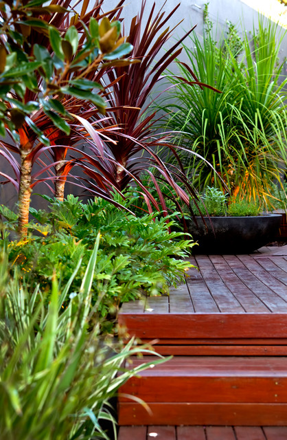Melville courtyards contemporary-garden
