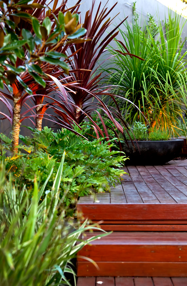 Inspiration for a small contemporary courtyard full sun garden in Perth with decking and a water feature.