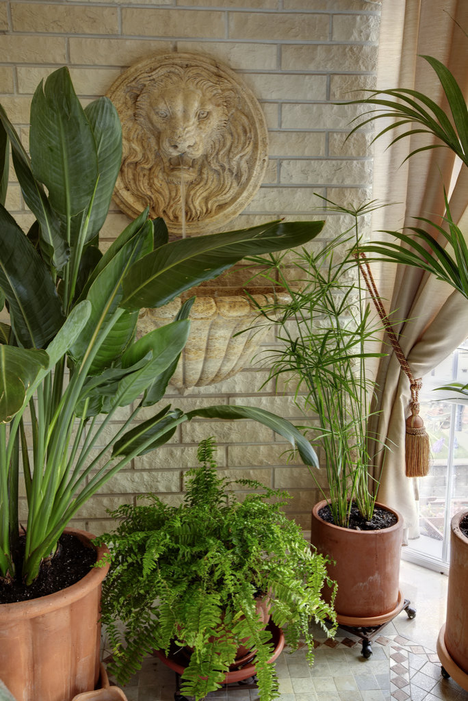 Дом на Носовихинском шоссе