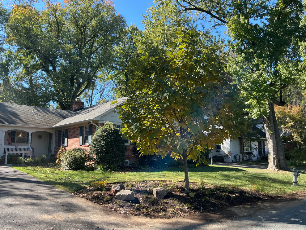 Front Yard Revival: Restoring Curbside Elegance with Native Plants and purpose