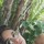 vasanthi_k