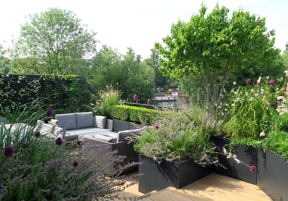 This is an example of a contemporary garden in Surrey.