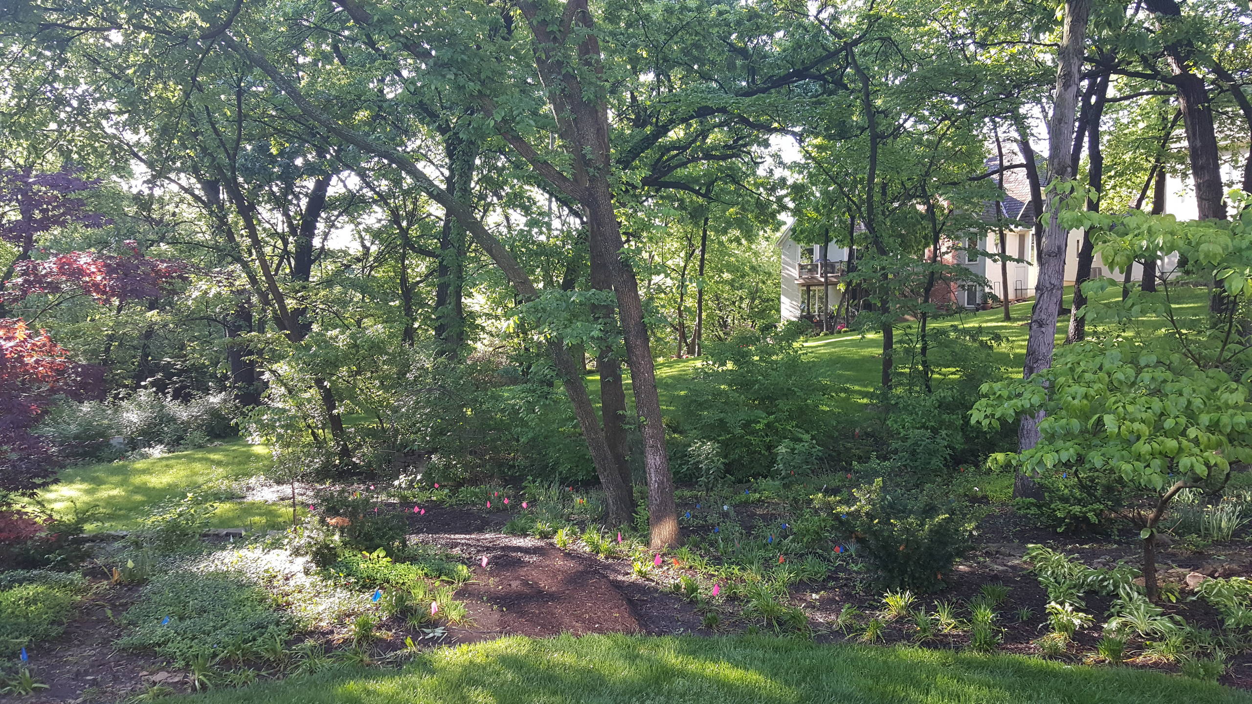 WOODLAND HILLSIDE