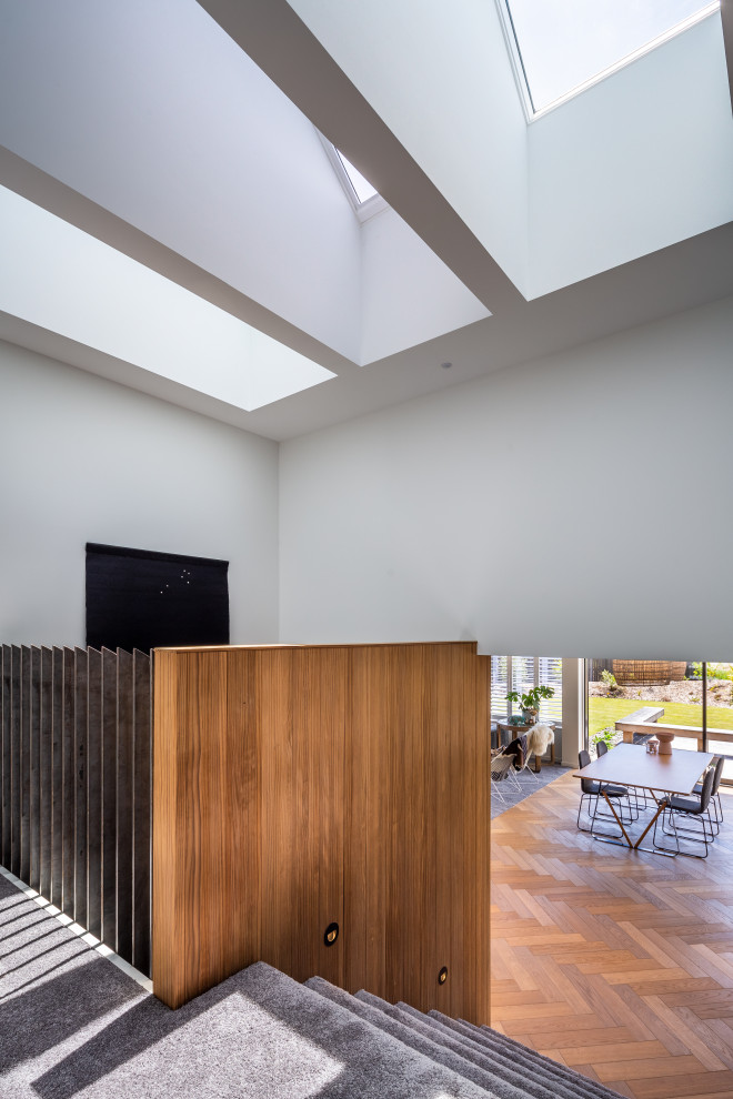 Mittelgroßer Moderner Flur mit weißer Wandfarbe, braunem Holzboden und braunem Boden in Wellington