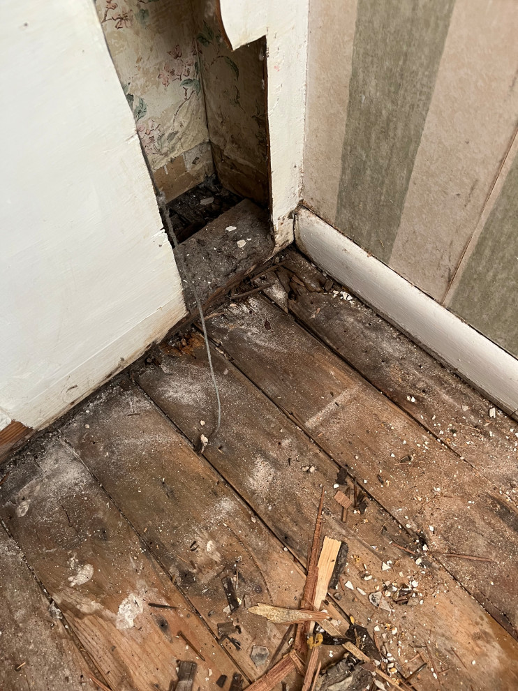 National Park, New Floors