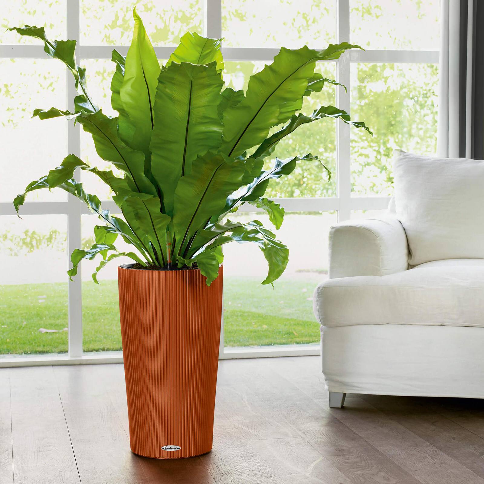 Элегантный дизайн в полоску