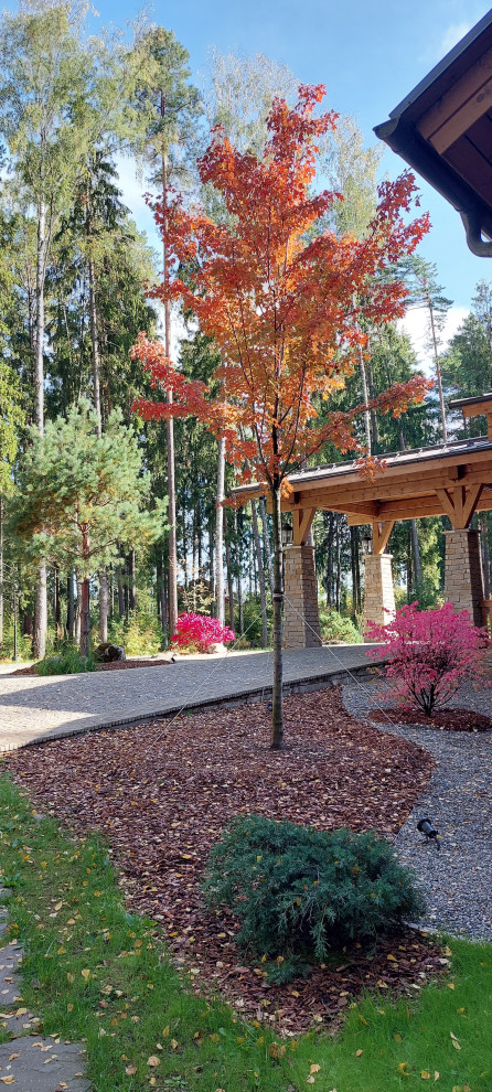 Гармония леса