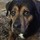 deborah_burgess42