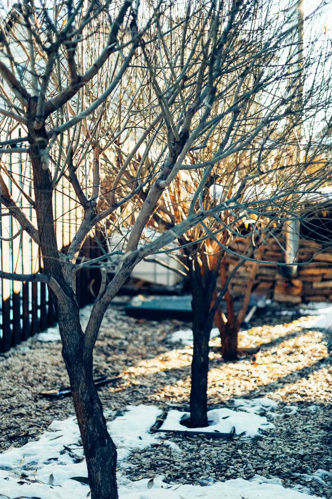 Сад 4 сезона