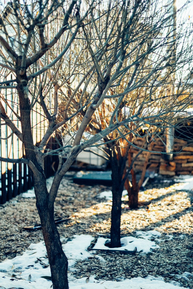 Сад 4 сезона