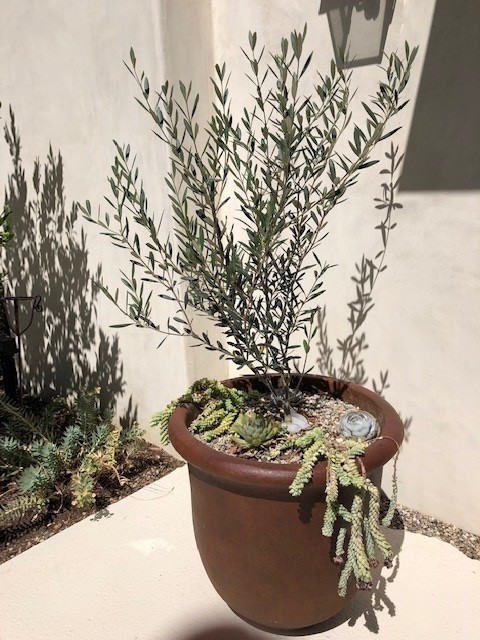 San Juan Capistrano