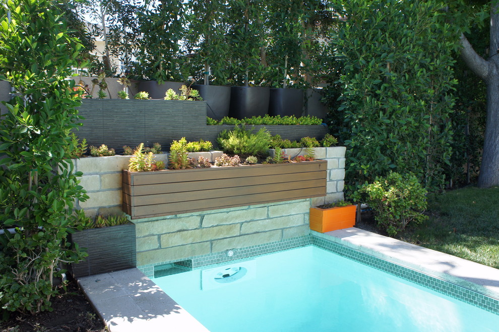 Contemporary sloped garden in Los Angeles with a container garden for summer.