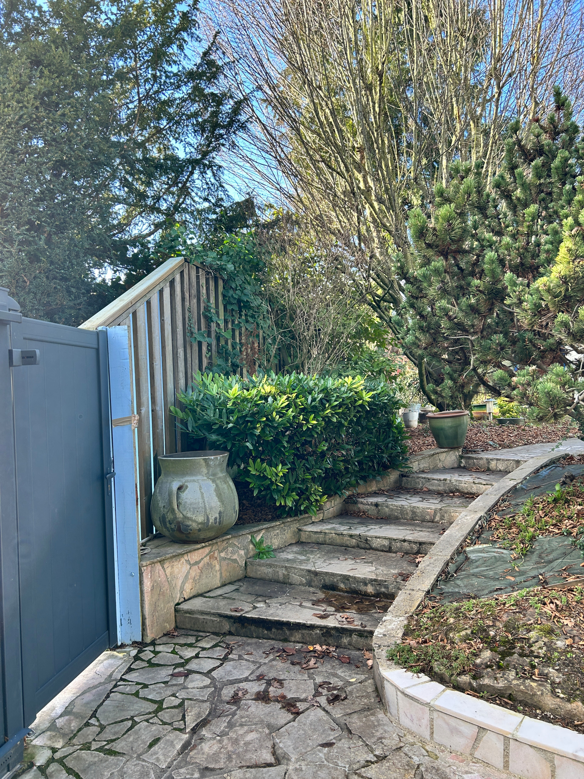 Jardin en Pots : Un Écrin de Nature