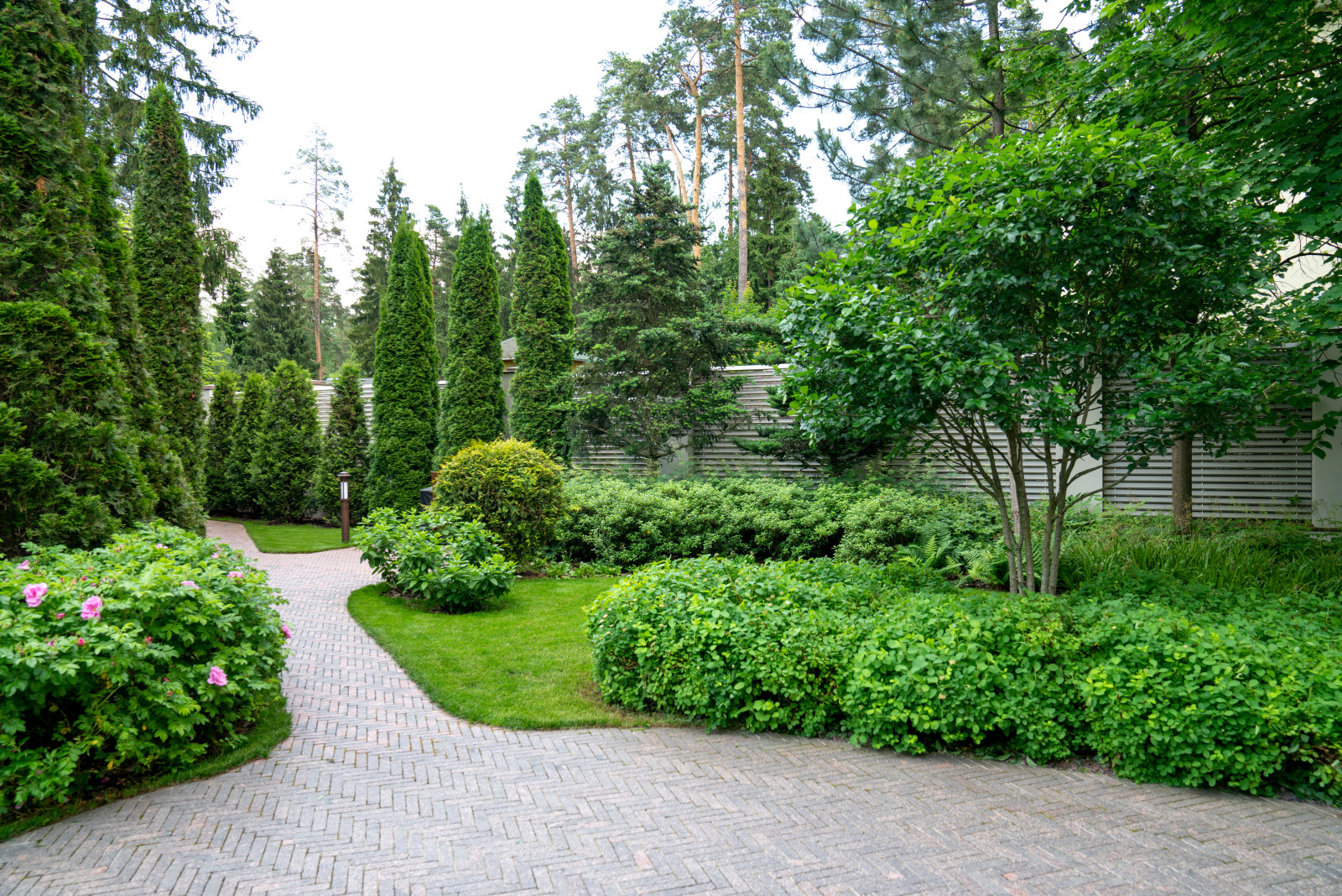 Очарование английского сада КП Балтия 2018 г