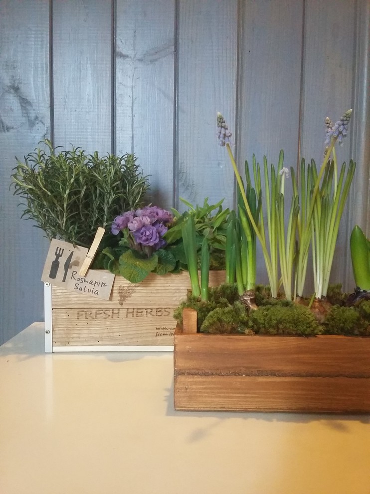 Ящики из дуба с ароматными травами