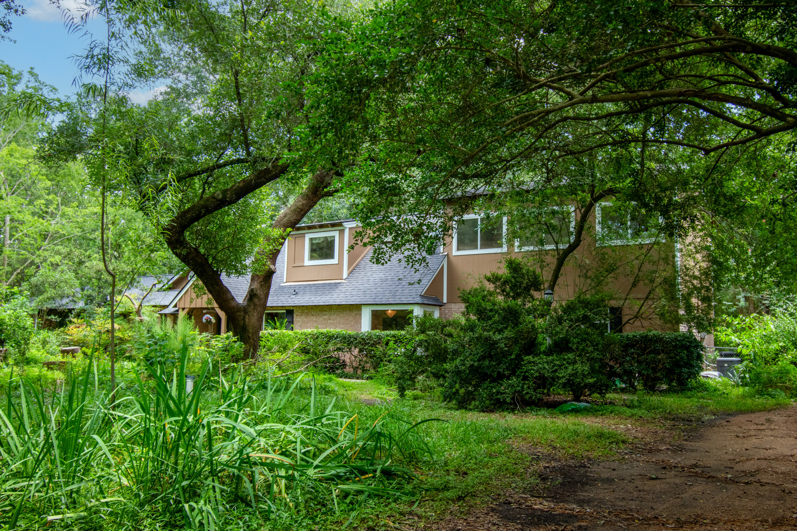 The House in the Woods
