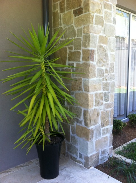 Cladding modern-fasad