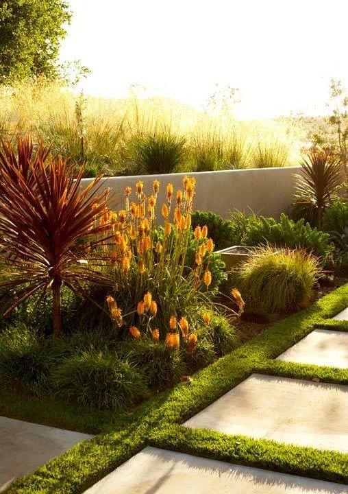Inspiration for a garden in Los Angeles.