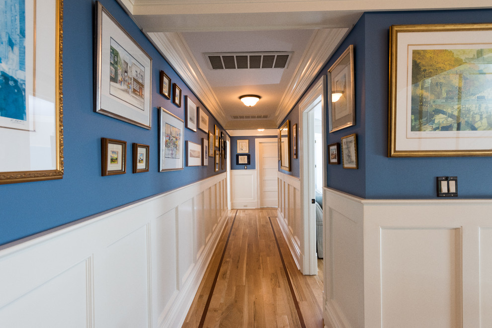 This is an example of a large beach style hallway in New York with blue walls and medium hardwood floors.