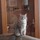 elizabeth_beck