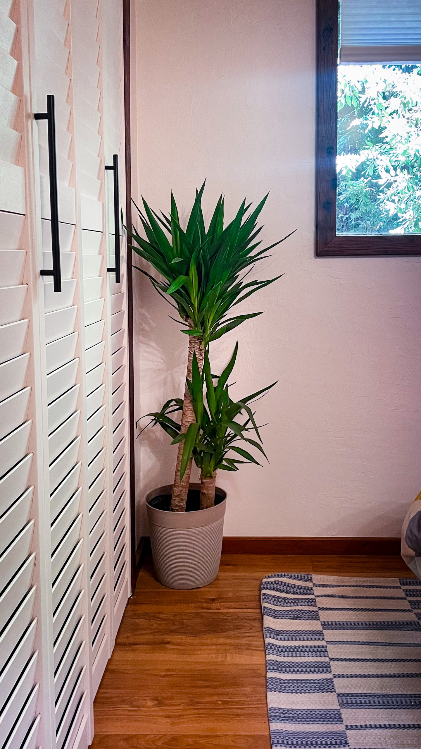 Air BnB Geometric Paradise Guest Bedroom
