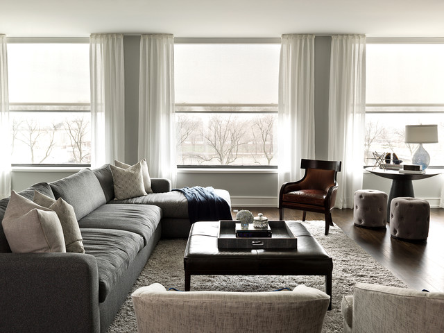 South Loop Condo transitional-living-room