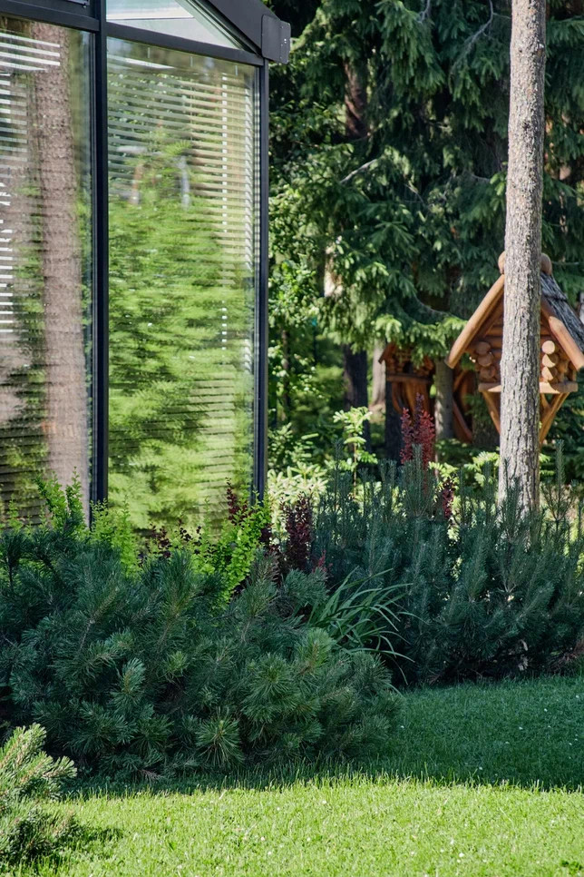 Охтинский сад