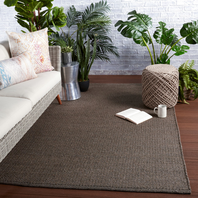 Jaipur Living Ryker Indoor/ Outdoor Solid Brown/ Gray Area Rug, 7'6