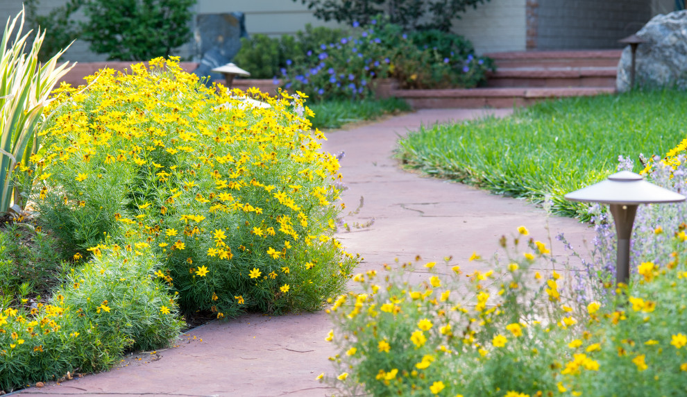 Design ideas for a mid-sized midcentury front yard full sun xeriscape for summer in Other with with path and natural stone pavers.