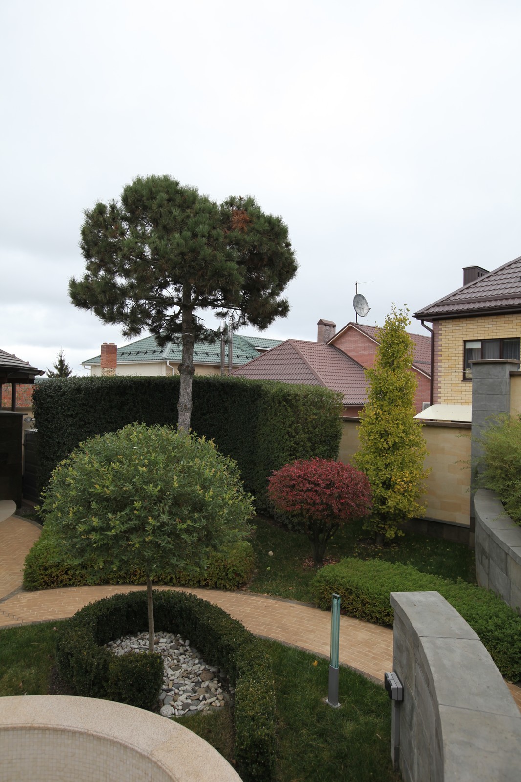 Итальянский сад с пиньями в городе