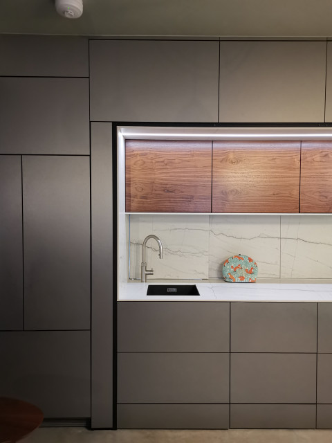Emperor's Steel modern-kitchen
