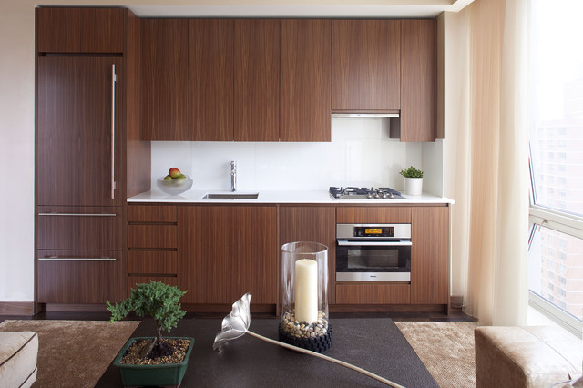 Kitchen contemporary-kitchen