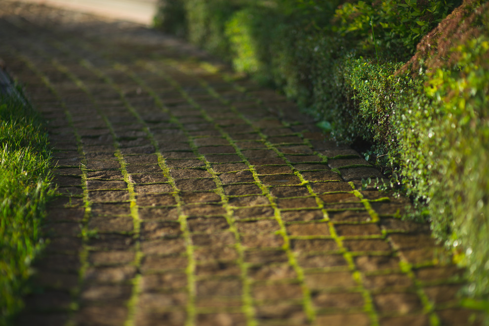 Регулярная классика