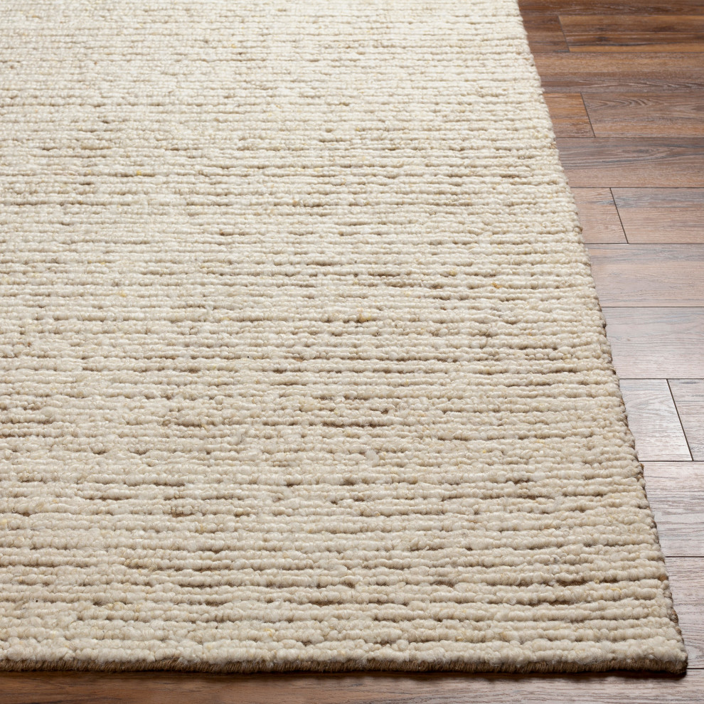Brentford BFD2300 Hand Woven Area Rug, 9' x 12' Contemporary Area Rugs by PlushRugs Houzz