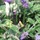 Last commented by erw247