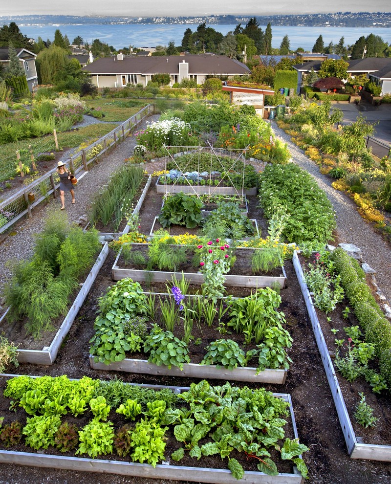 Photo of a large sloped full sun garden for summer in Seattle with a vegetable garden and mulch.