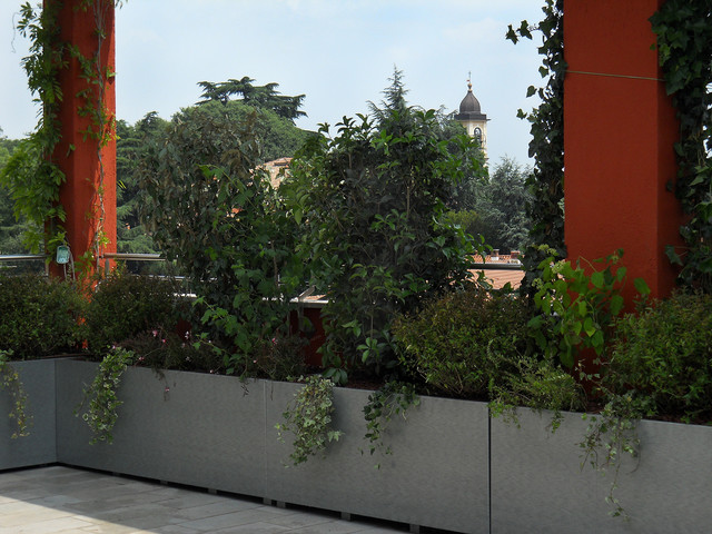 TERRAZZA CON VELA trendy-terrasse