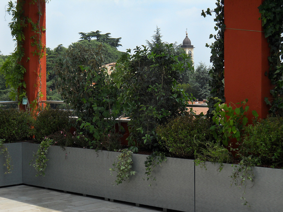 TERRAZZA CON VELA