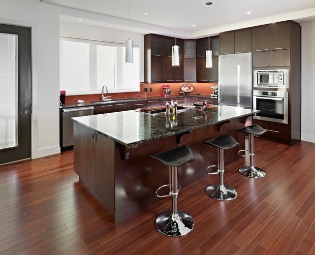 Kitchen contemporary-kitchen