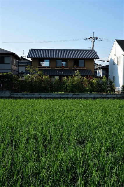 香芝の家 classico