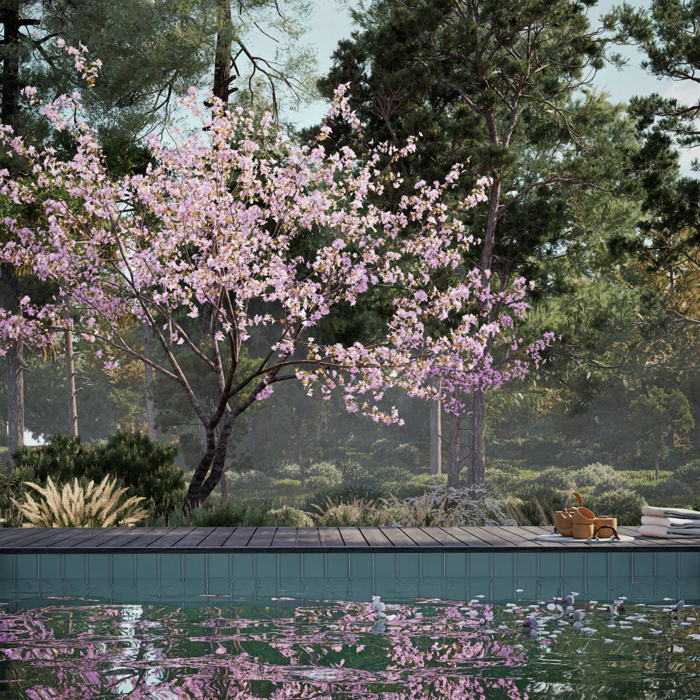 История Парк